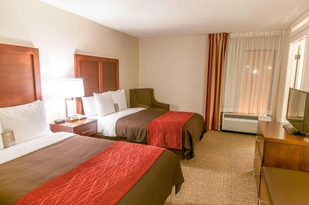 Comfort Inn Quantico Stafford Exterior foto